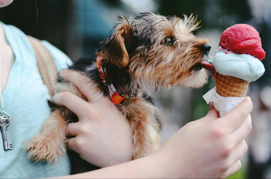 Nebraska's Sweet Treat Traditions Strengthen Community Bonds